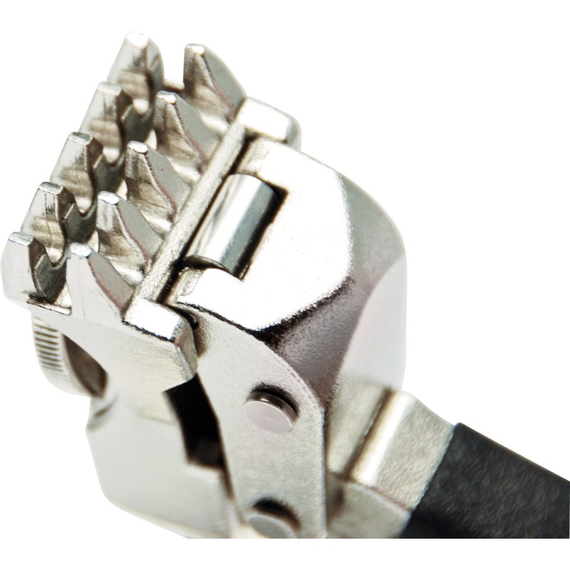 Gamma Progression II Els